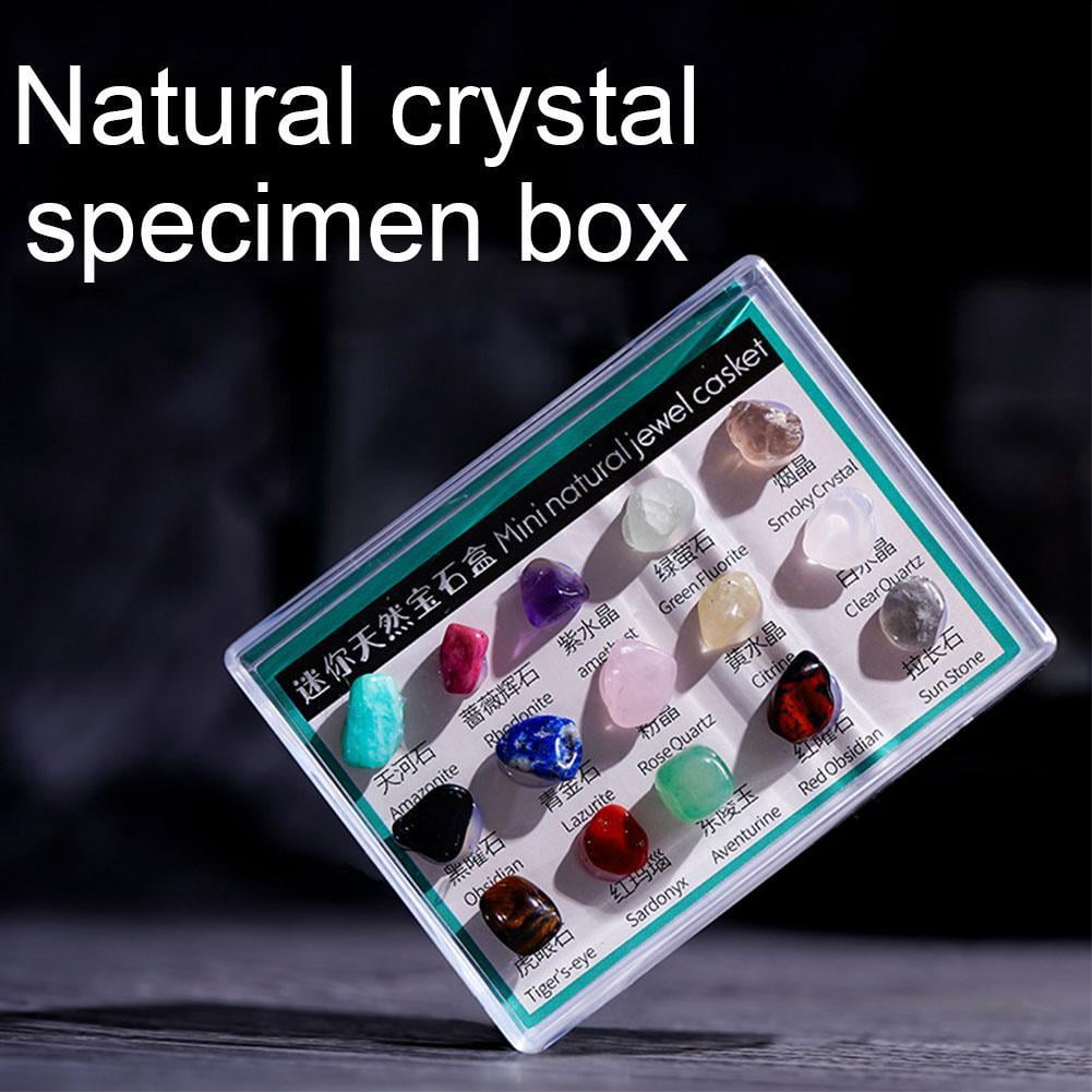 15/24 pcs Rock Gems In Collection Box Crystal Natural Mineral Gift DIY