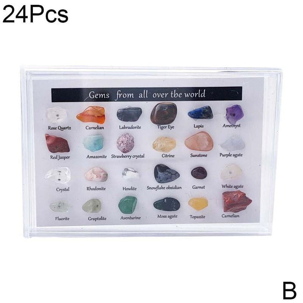 15/24 pcs Rock Gems In Collection Box Crystal Natural Mineral Gift DIY