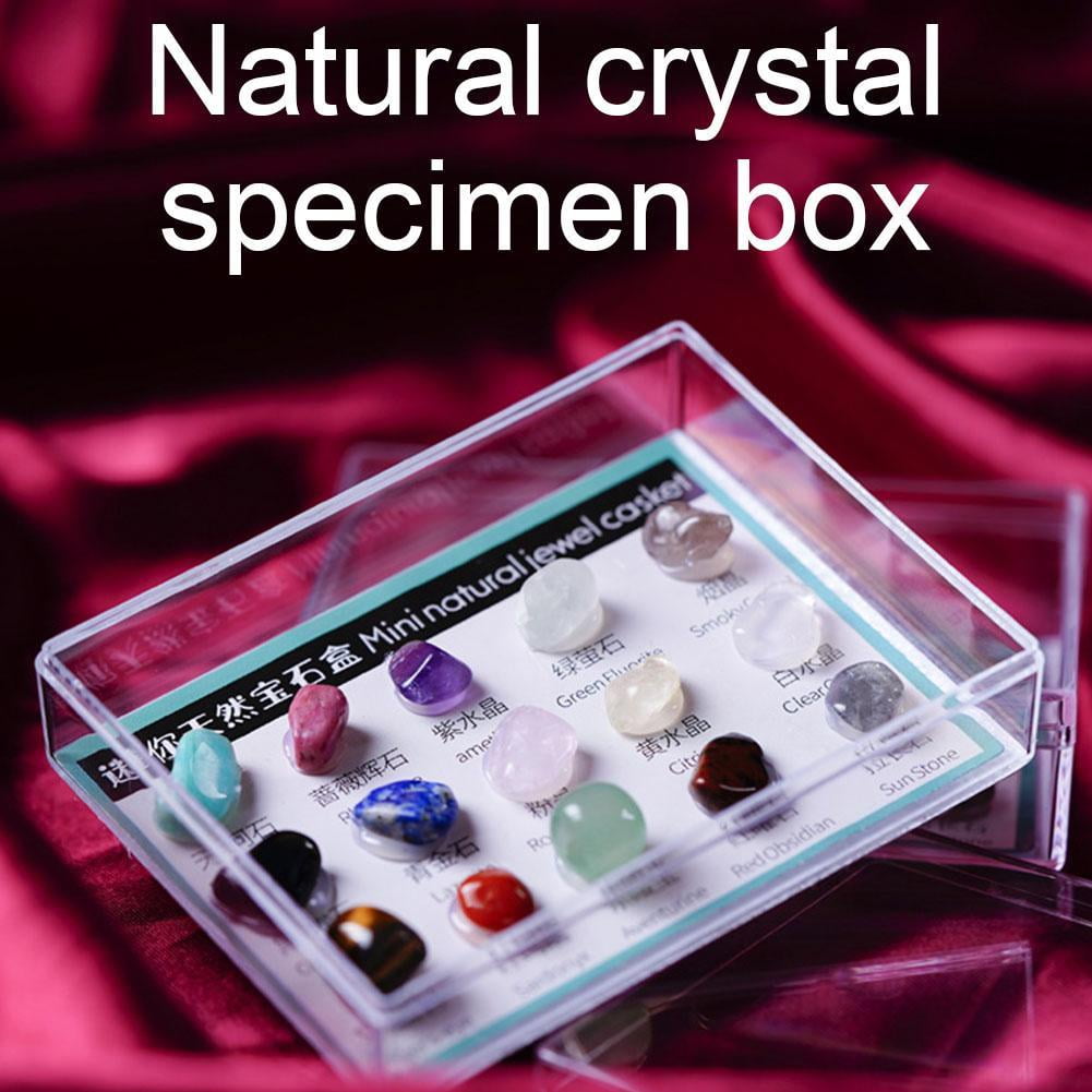 15/24 pcs Rock Gems In Collection Box Crystal Natural Mineral Gift DIY