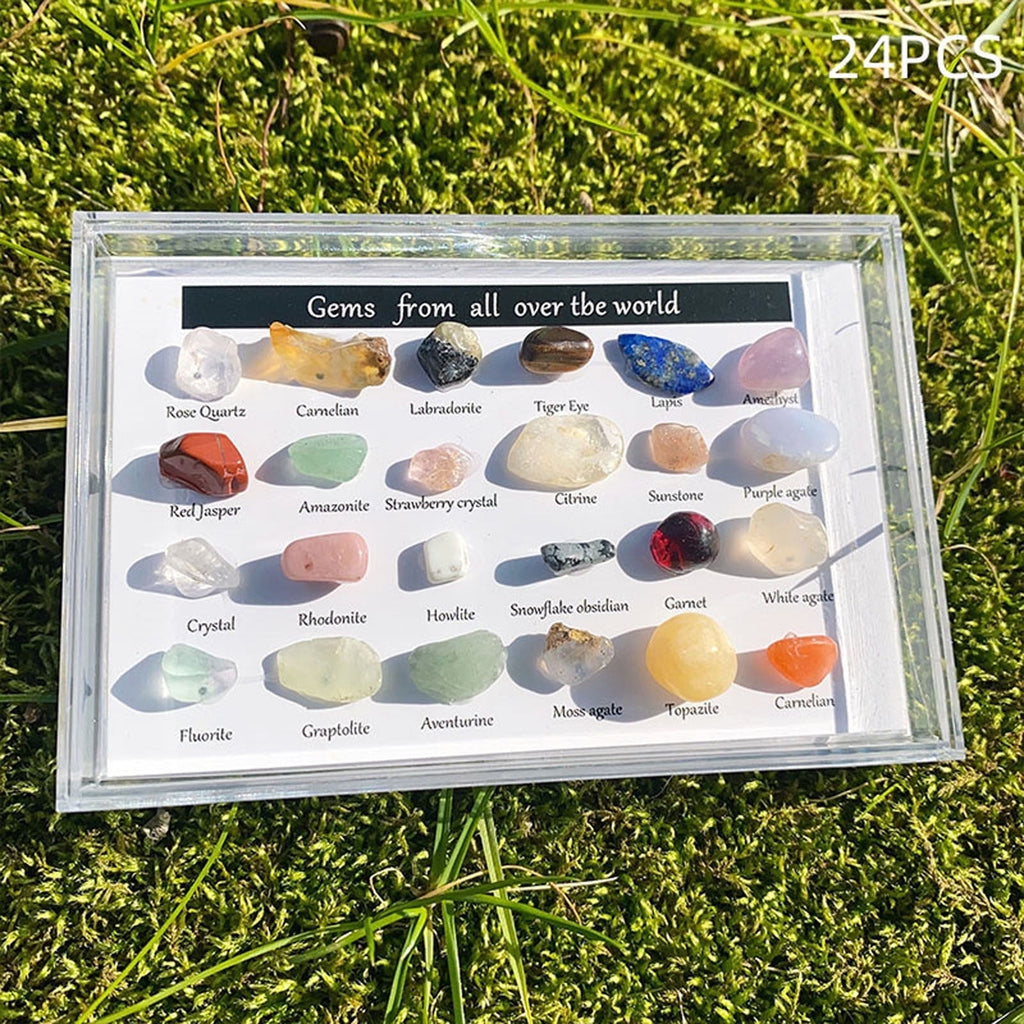 CasaChic 24-Kind Natural Crystal & Agate Specimens, Healing Energy Stones Decor, Semi-Precious Gemstone Collection for Home, Office & Spiritual Wellness